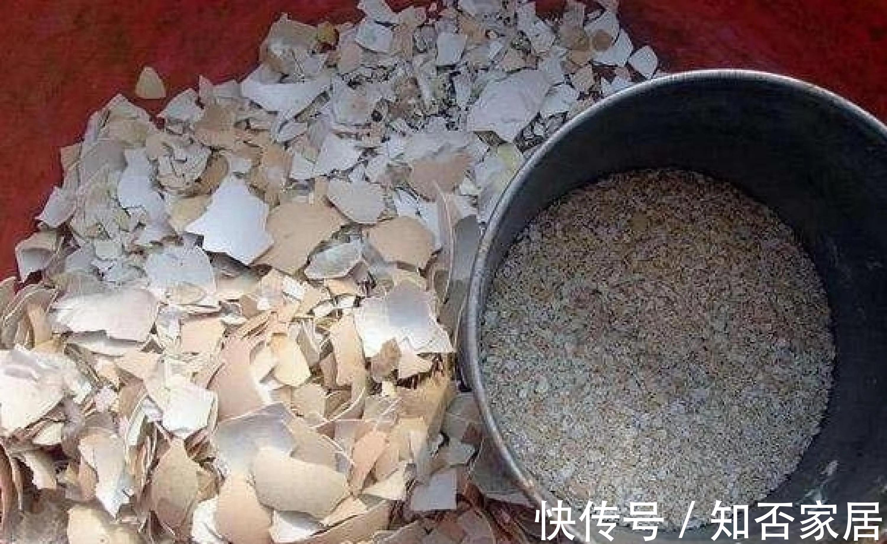 养花盆土硬邦邦，自制一碗水，土壤松软似面包，肥力足