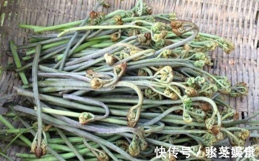 野草|农村被称为“猫爪草”,现在成了城里热门野菜,卖50元一斤