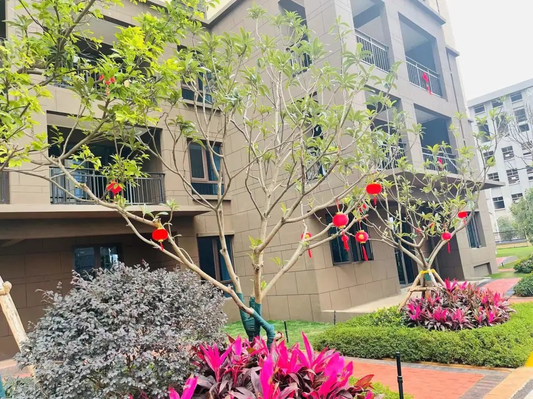 国宾府|提前20天交付!中梁碧桂园国宾府二期交出一份“合格”的成绩单