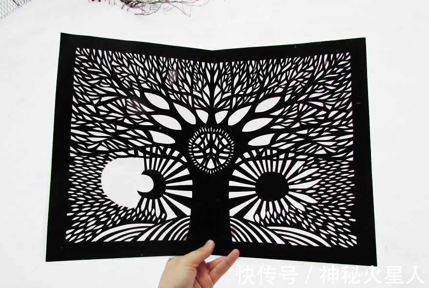 弗里达$她的剪纸作品太有想象力了!夸一句精美绝伦,一点也不过分