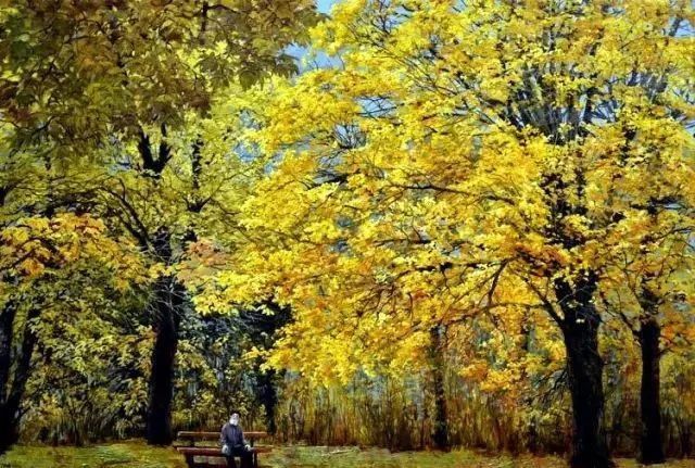 绘画|俄罗斯 爱德华·巴诺夫 ?的风景油画,好美