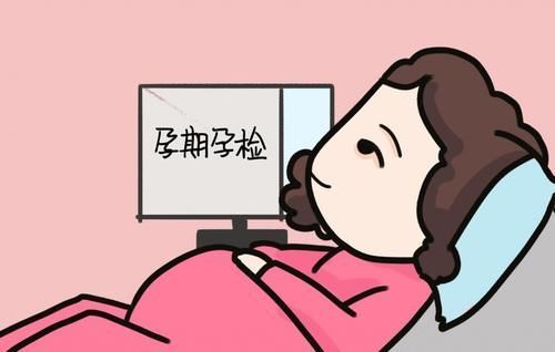 胎儿|胎儿性别这一刻就被决定,所谓的“男女互翻”,是胎宝造成的假象