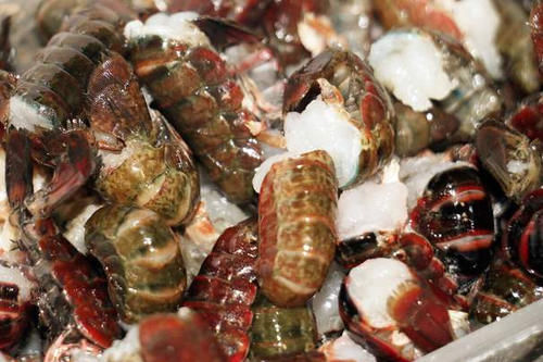 天热了,就该多吃此肉,保存起来放冰箱,随吃随取,太过瘾了