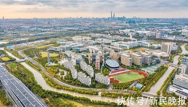 科研|上海这所年轻高校入围双一流建设 凭借的是什么？