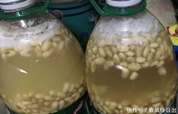 别再被“小窍门”忽悠了,这些才是真正的好花肥