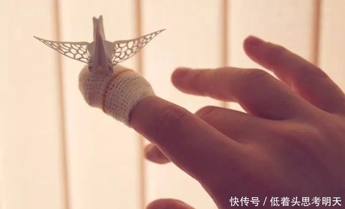 重样|每天折一只千纸鹤,他坚持了1000天不重样,女友被感动到梨花带雨