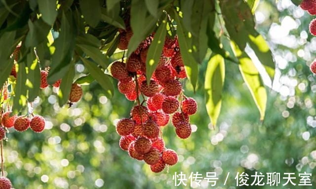 水果|子宮“害怕”的4種水果，女性忍住不吃就是贏，1項運動或能挽救