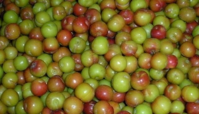 妇科病|女性常吃此物,再贵也别省,防妇科病,皮肤红润细腻,排子宫肌瘤