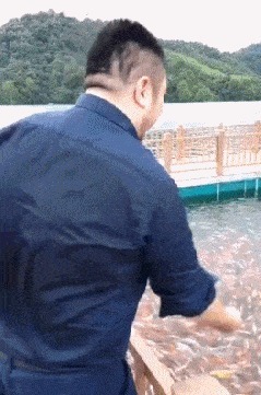 |搞笑GIF趣图:说实话,这钢琴真不错!有谁知道是什么牌子的?