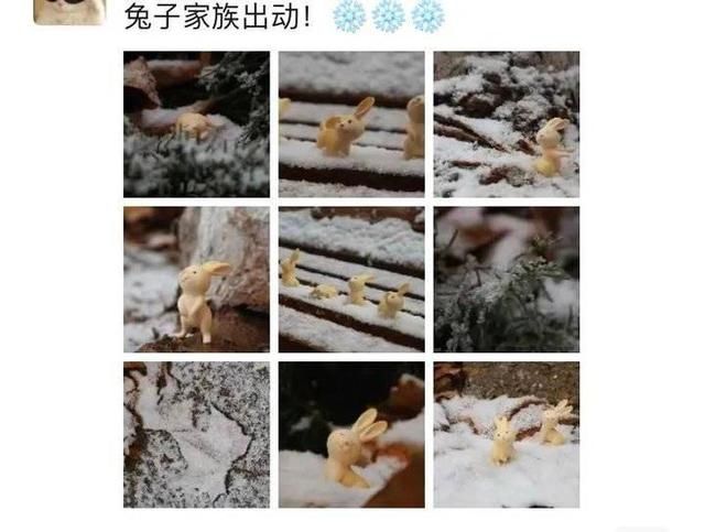 冬天|突如其来的滨医初雪，惊艳这个冬天