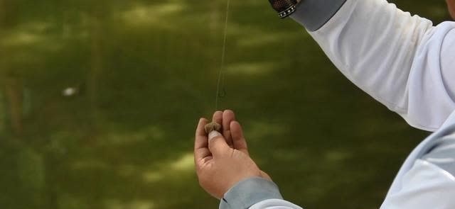 子线长度有多讲究?相差10厘米钓获可能少一半,看老钓手的分享