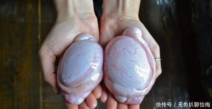 东北“大硬菜”被吐槽没南方硬，东北人不服气：你们有啥货尝尝