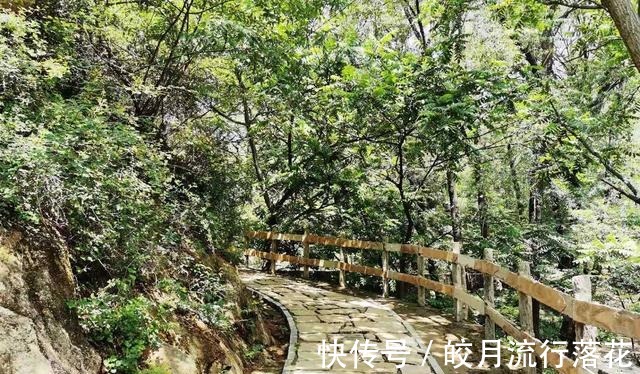 鸽子洞|北京大岭沟猕猴桃谷风景区，幽静空谷听鸟鸣，到山顶看草木葱茏！