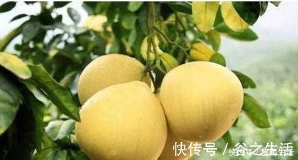 衰老|聪明人爱吃几种食物，排毒养颜，延缓衰老，早吃早好