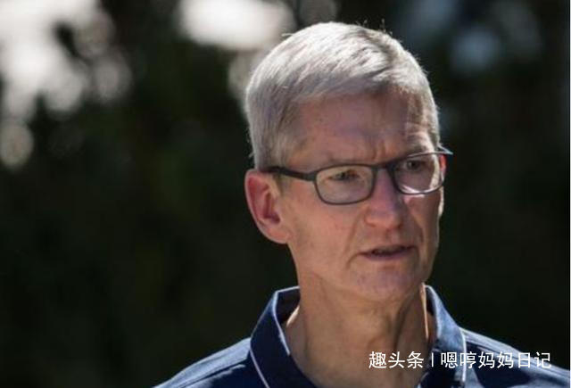 长大|哈佛大学家里3个地方乱,孩子长大后越聪明,父母别乱勤快