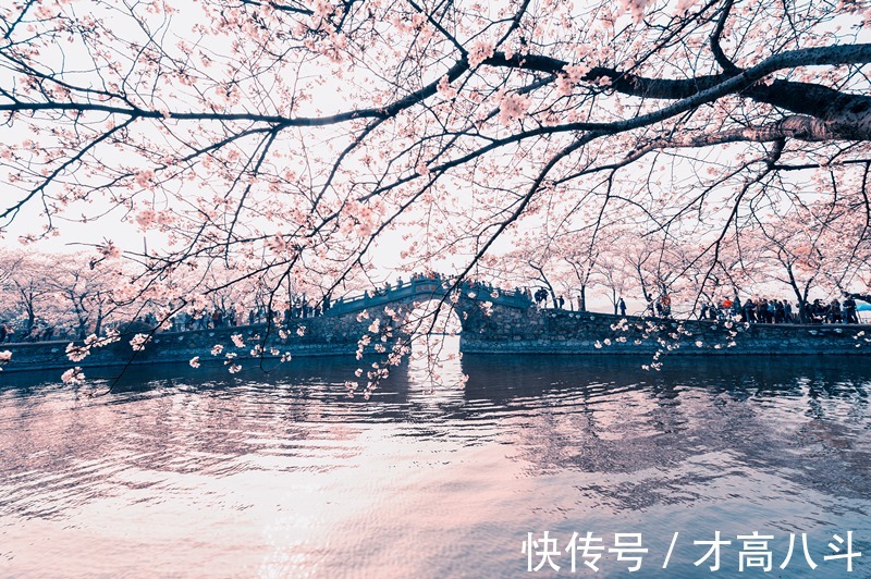 江月@100首春天唯美古诗词(值得收藏)