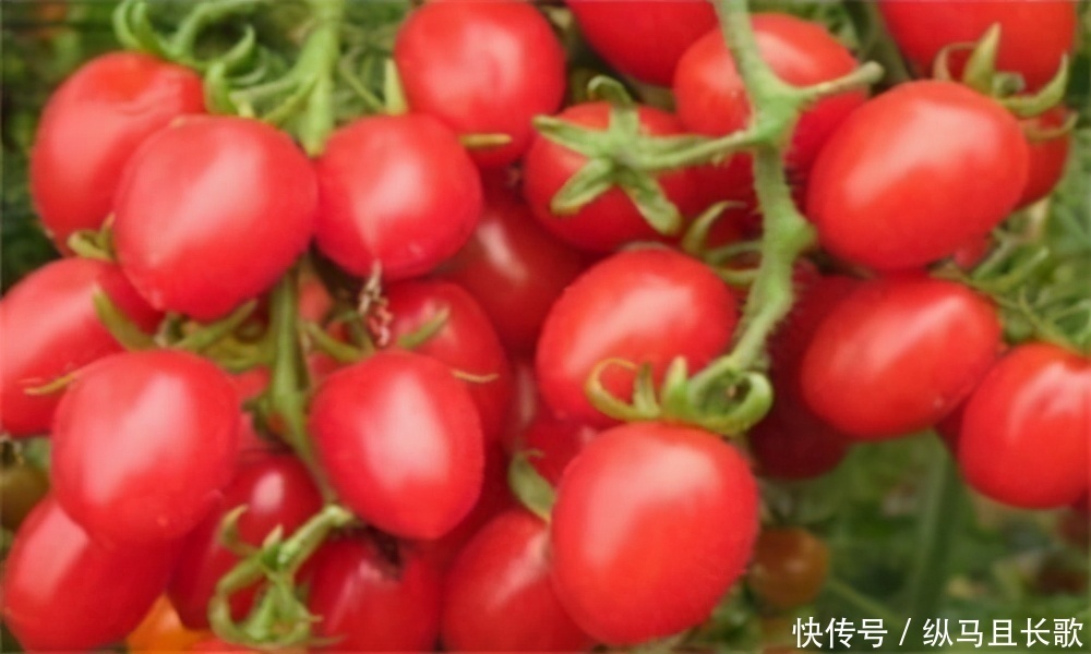  女性想要皮肤好，要坚持吃3种食物，排毒养颜、滋补身体