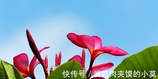 涌动|8月桃花涌动，遇见新欢，收获爱情，注定要脱单