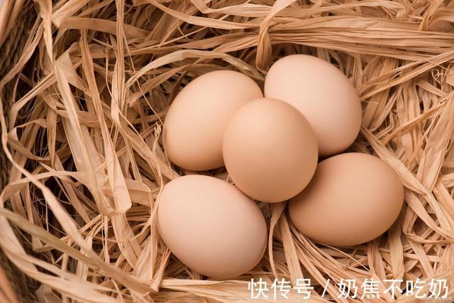 鸡蛋|鸡蛋、鹅蛋、鸭蛋，哪个更有营养？营养师告诉你标准答案