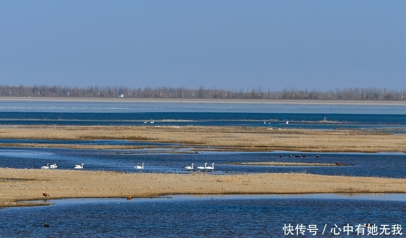 亚洲|全亚洲最大的沙漠水库，耗时半个世纪才建成，堪称奇迹！