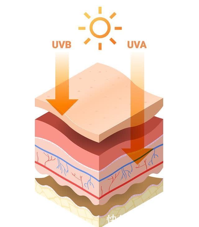韩国人气防晒产品被举报!国内电商平台仍有售,快看看你有吗