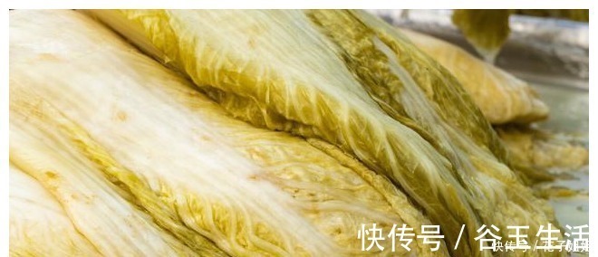 凉白开|腌酸菜，牢记3个技巧，酸菜不烂不生花，酸香脆爽超下饭！