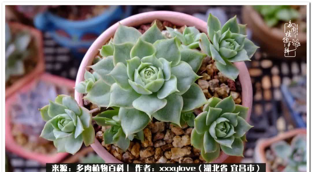 时光匆匆,一闪而逝,这世间万物的美,都值得被记录!