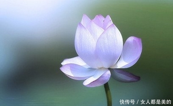 李渤|忍辱，是胜人的一种力量，万法常空灭，无生因忍全