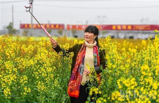 “女神节”里一起来看七彩油菜花