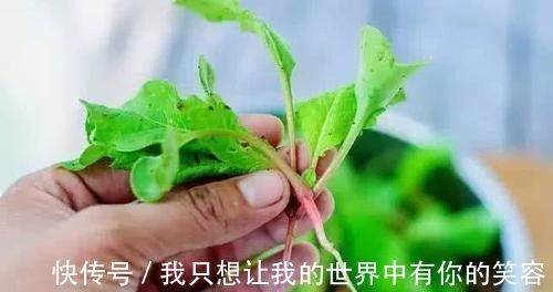 血管健康|血管堵塞不用怕，日常多食用此几物，帮你疏通血管，远离三高