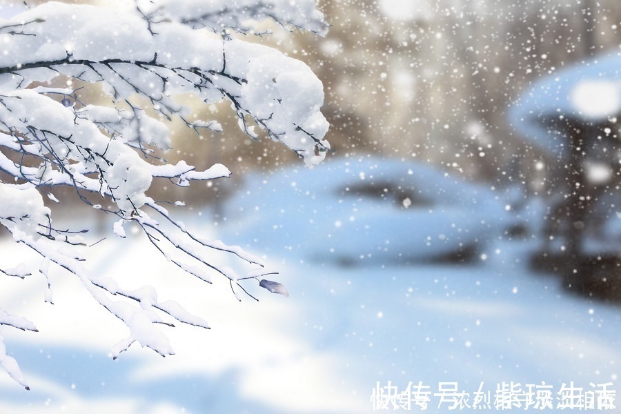 食物|大雪过后,多吃5种食物,多喝3茶,保证好睡眠,健康过寒冬