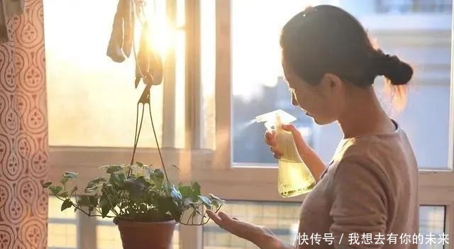 6种人“不适合”养花,买了花也“活不久”,浪费钱