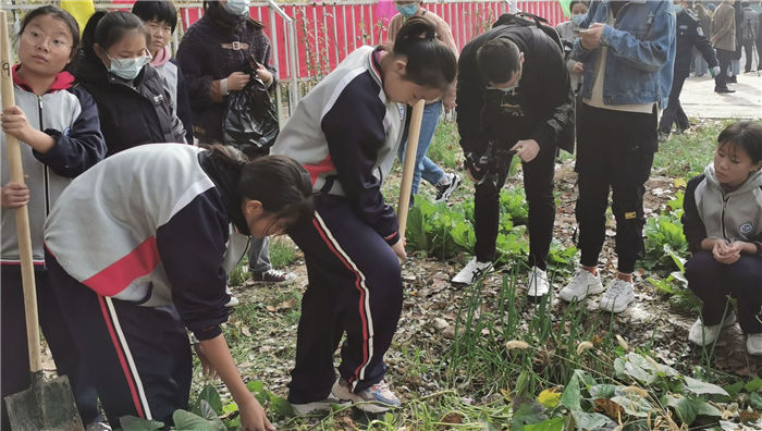 第二实验学校|“要我劳动”变“我要劳动” 商河县第二实验学校劳动教育纪实