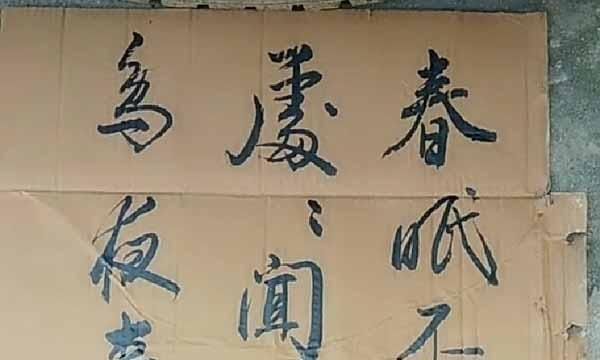 美女&美女利用废旧纸箱练习书法,字迹洒脱飘逸神采飞扬,让书法家汗颜