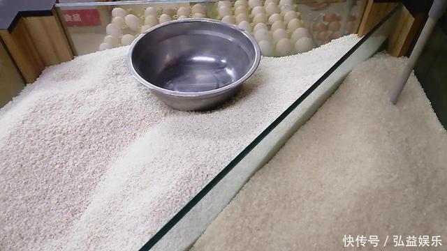 买大米时,散装米和袋装米哪一种好原来区别这么大,别选错了
