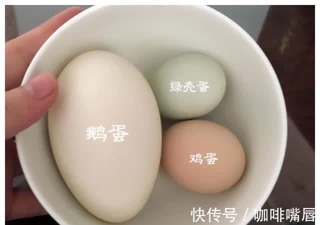 优质蛋白|鸡蛋、鹅蛋、鸭蛋,哪个更有营养?听听营养师的答案