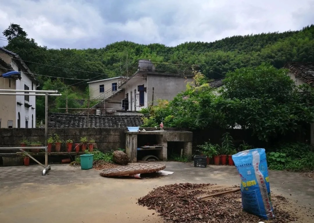 兰花|如何让松针、锯末、花生壳发酵效率翻倍?两个妙招,非常简单实用
