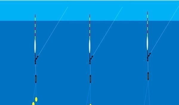钓友|带饵调漂的优势，这种调漂方法公认最科学，肯定是有道理的