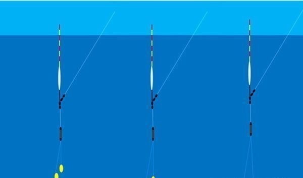 钓友|带饵调漂的优势,这种调漂方法公认最科学,肯定是有道理的