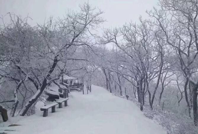 云台山|下雪啦！海上云台山第一场雪秒变童话世界