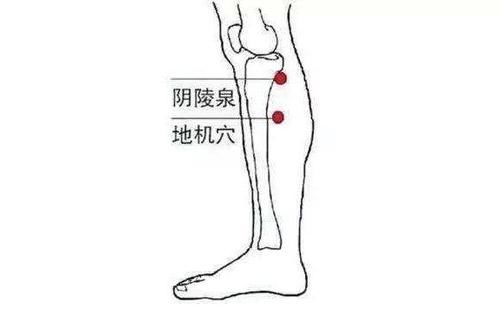 脾胃|脾胃不好胃口差？没事按摩身体这5个穴位，让你远离脾胃虚弱！