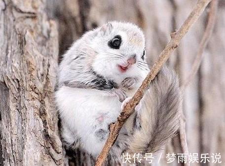 司马迁!一本古代“奇书”,书中有一谜团,至今无人能破解,你有答案吗