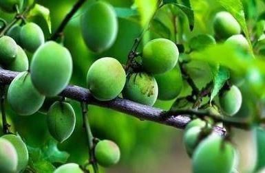 排毒|秋季来了，女性常吃以下食物，能袪皱淡斑，排毒护肤，延缓衰老