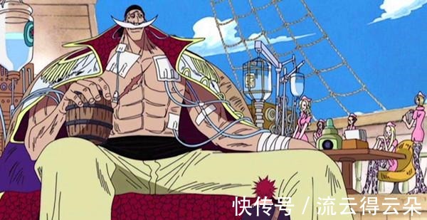 海军|海贼王同时代的战国和卡普老而健壮,白胡子最小却为何最病弱