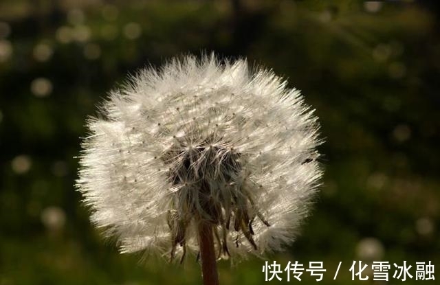 天蝎座|9月中旬，受到财神偏爱，运势红火，财运不断的4星座