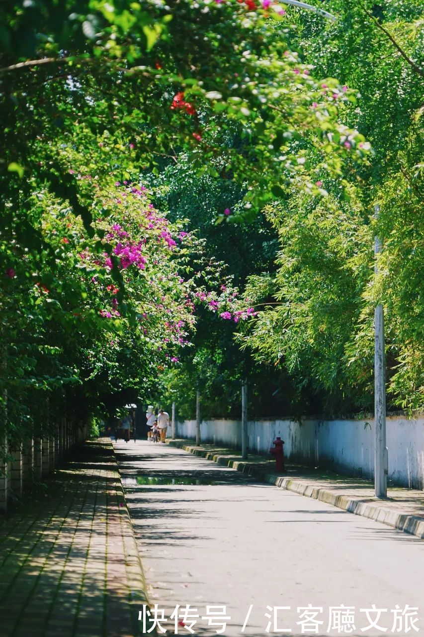 锦里 成都是一种“病”,不去治不好!