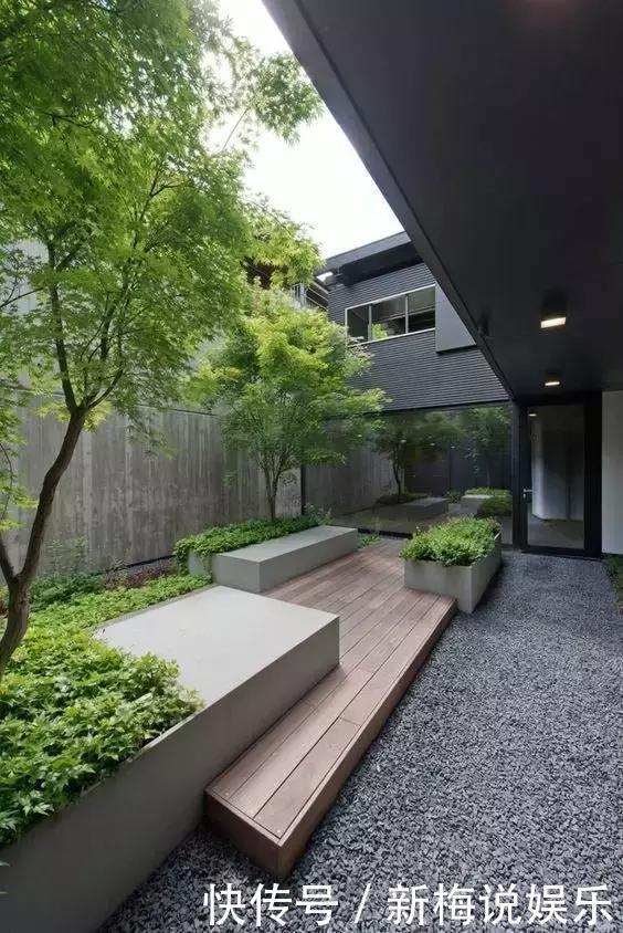 庭院种什么树好有些树真不能乱栽