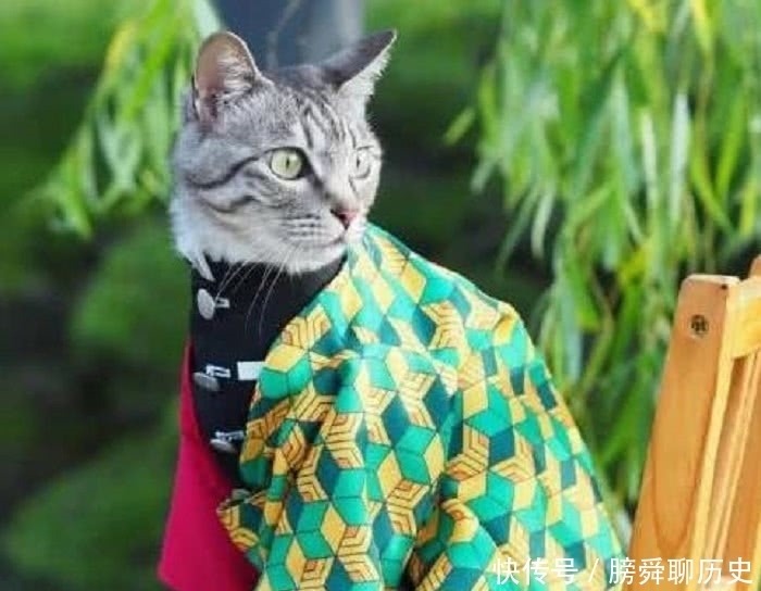 漫迷玩cos已经很厉害,看到猫和鸭,漫迷:世界无奇不有!