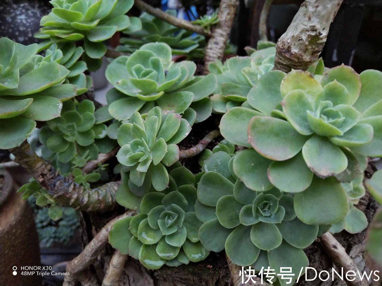 荣耀X30|快充长续航搭配窄边天花板带来高品质体验：荣耀X30动手玩