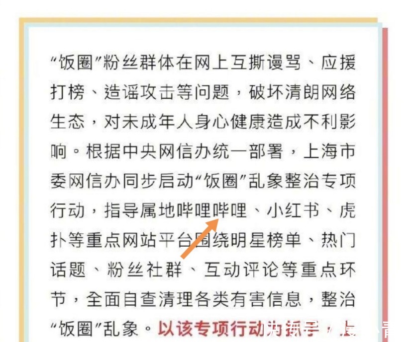 管管|某站要整治饭圈，二次元拍手叫好，早该管管了